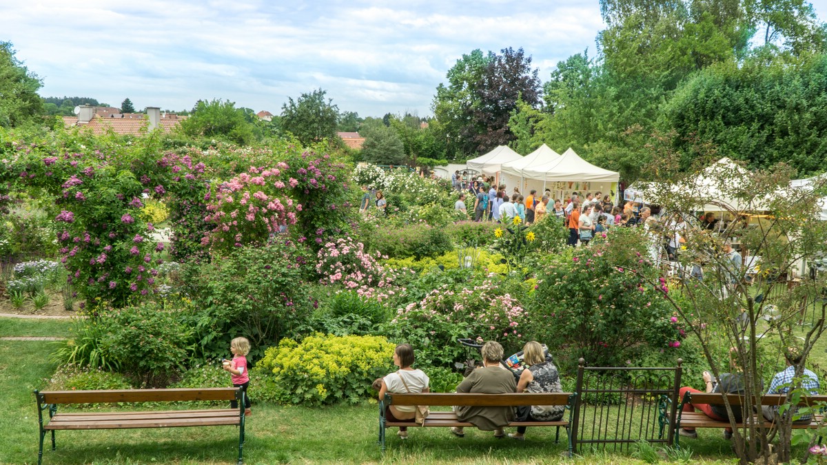 O Fotomagazin / Gartentage im Historischen Stiftsgarten im Stift Seitenstetten 